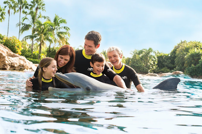 family of four with dolphin in water